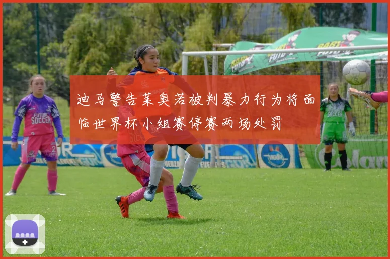 迪马警告莱奥若被判暴力行为将面临世界杯小组赛停赛两场处罚